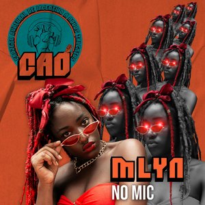 NO MIC