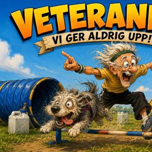 Vi är veteraner