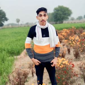 म्हारी जानू पतंग उड़ावगी चल र भाल का झोखा