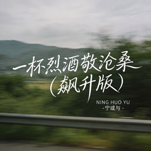 一杯烈酒敬沧桑（飙升版）