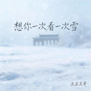 想你一次看一次雪