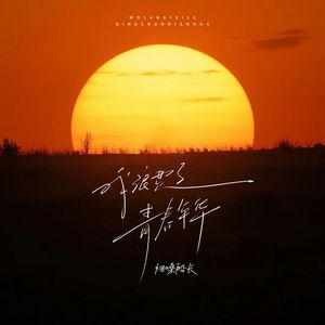 我浪费了青春年华 (伴奏)