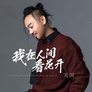 我在人间看花开(DJ版)