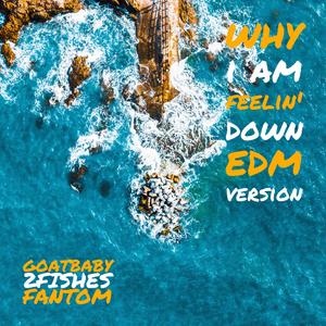 WHY I AM FEELIN' DOWN EDM VERSION (为什么我总是难过电音版)