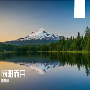 往事成霜太寒