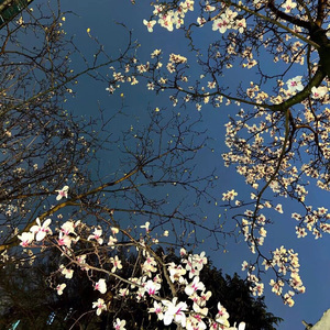 再次来到第一次约会的海边