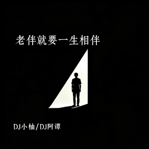 老伴就要一生相伴(DJ版)