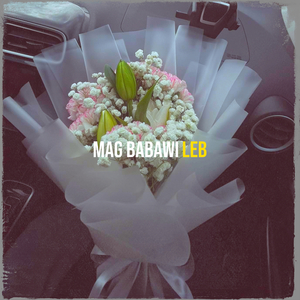 Mag Babawi