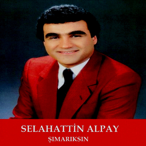 Seni Sevdim Bir Gül Gibi