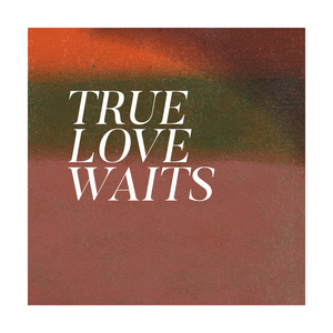 True Love Waits
