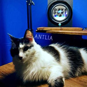 Antlia
