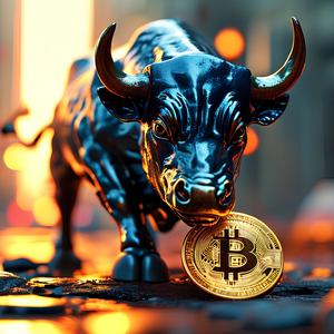 Bitcoin Bull Run