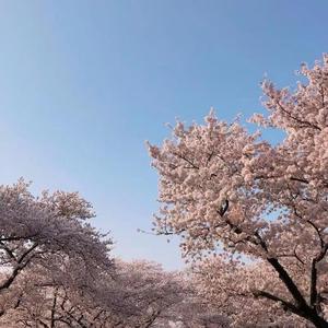 空