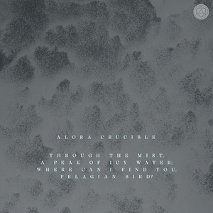 Through the mist, a peak of icy water; where can I find you, pelagian bird?