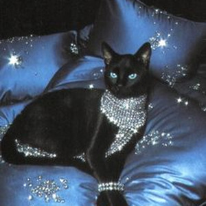 fluxxwave x shameless