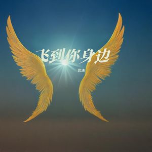 飞到你身边