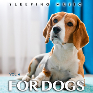 Sleeping Music For Dogs