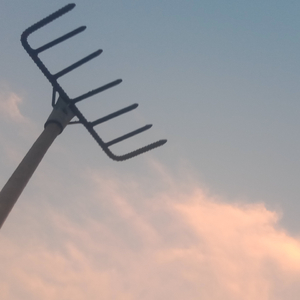 บทเพลงของคนหลอนม้า (ม้าเขียวมิวสิคโย้วๆ)