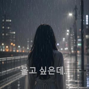 울고 싶은데...