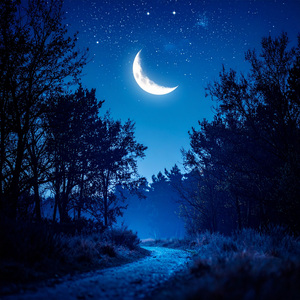 El Sueo Se Mueve Lentamente En Ti