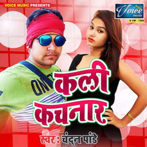 Hitwa Ke Didi Chinar Biya