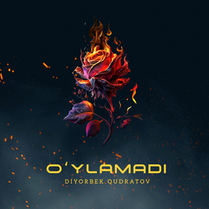 O'ylamadi