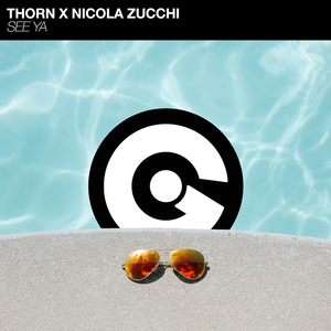 See Ya (Nicola Zucchi Remix)