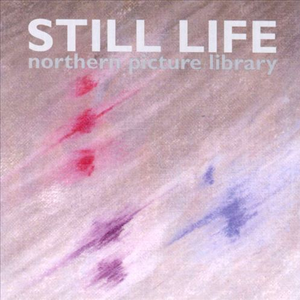 Love Song For The Dead Che Number 1