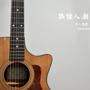 我只在她眼中的人海