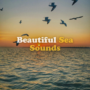 Accommodated Ocean