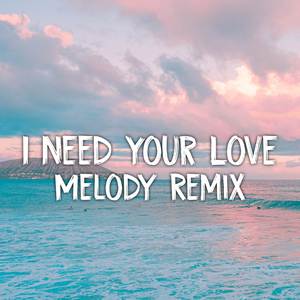 DJ I Need Your Love Melody (Remix)