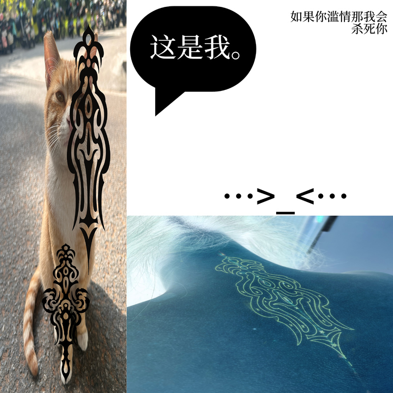 可怜封面