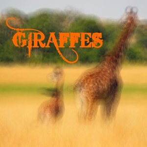 Giraffes