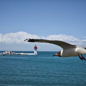 希望每个人都能拥抱希望