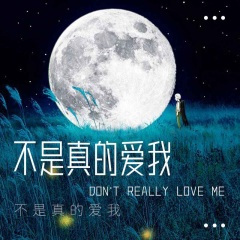 不是真的爱我 (女声版)
