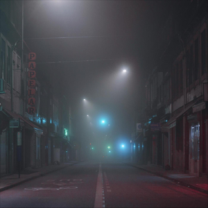 Have You Seen Bella?