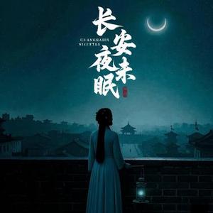 长安夜未眠