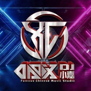 DJ小嘉-毛不易 - 遥远的她（Live）（DJ小嘉 remix）