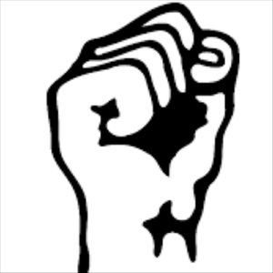 Rolling with the Punchers