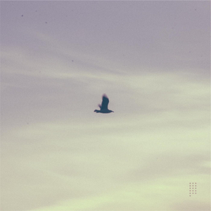 Mia Irmana Fremosa, Treides Comigo