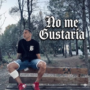 no me gustaría