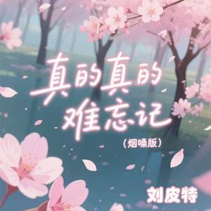 真的真的难忘记 (烟嗓版)