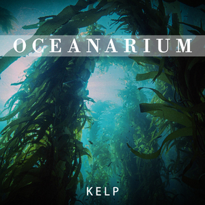 Kelp