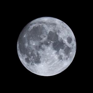 Letting Go （Cover 蔡健雅）