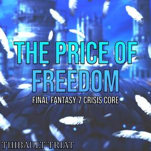 The Price of Freedom (From "Final Fantasy 7 Crisis Core") (Cover version)