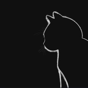 抽烟只抽煊赫门