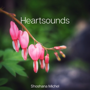 Heartsounds