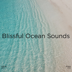 大海之声深睡眠