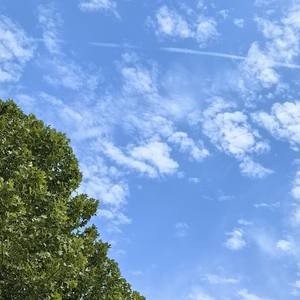 世间繁华皆有我