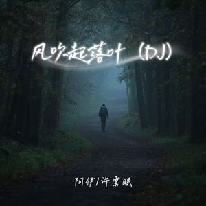 风吹起落叶(DJ)
